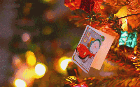 幼儿园PVC地板这个圣诞节『德彩』陪您一起过！(图2)